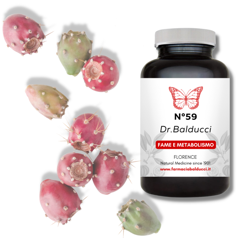 Balducci 59 con pianta